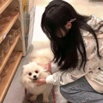 创世封神内购破解版下载